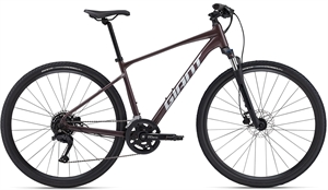 Giant Roam Disc 2 Plum <BR>- 2024 Herre sportscykel SUPER-TILBUD