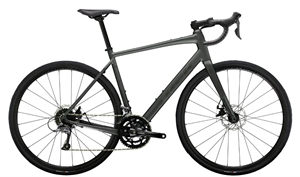 Trek Domane AL 2 Disc Grey <BR>- 2025 Alu. racercykel